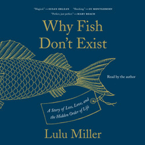 WHY FISH DON'T EXIST Audiobook Excerpt