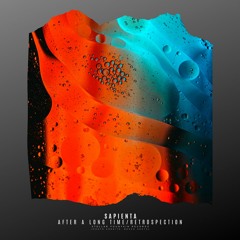 Sapienta - After A Long Time (Original Mix)
