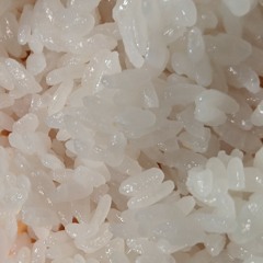 在宅勤務と在宅育児の一日.m4a