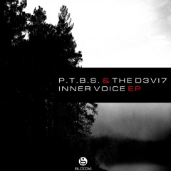 P.T.B.S. & THE D3VI7 - Let There Be Light (Original Mix)