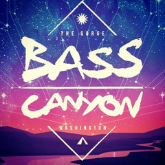 Bass Canyon Top 500