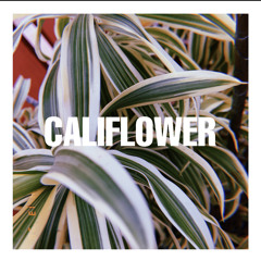 Califlower (prod. omgsora)