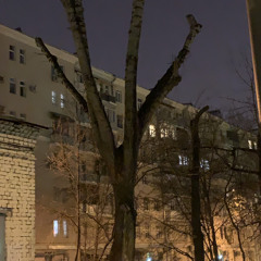 «Моя цыганская», автор Владимир Высоцкий, исполняет Лев Слонимский.