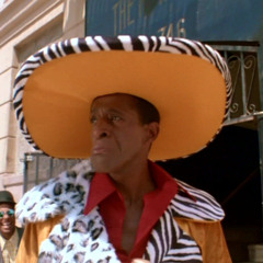 fly guy