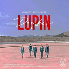 DONGKIZ (동키즈) - Lupin