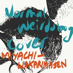 MIYACHI - WAKARIMASEN (Normalweirdoboy cover)