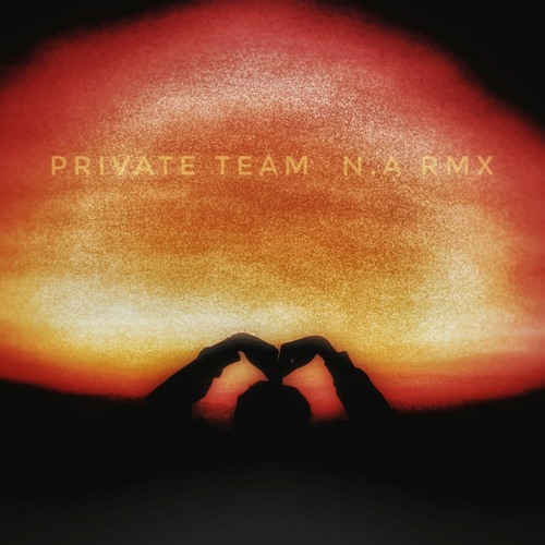 (Private Team ) Low ( DJ N.a ) & ( Morii Ft Borany And Family AGY)  Rmx.mp3