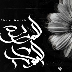 راب 2 s