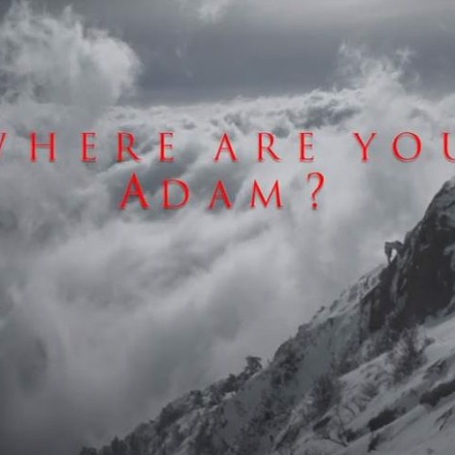 Ми хотіли, щоб глядач побачив фільм і в нього не виникало думок, що потрібно терміново ставати монахом — продюсер документального фільму «Де ти, Адаме?»