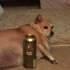 Hiago Taliban - 10 MINUTOS DE GRAVE ESTOURANDO SEUS OUVIDOS