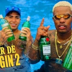 MC ig MC lele jp - vou para de toma gin 2