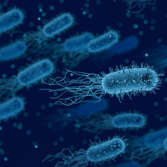 Bacterium