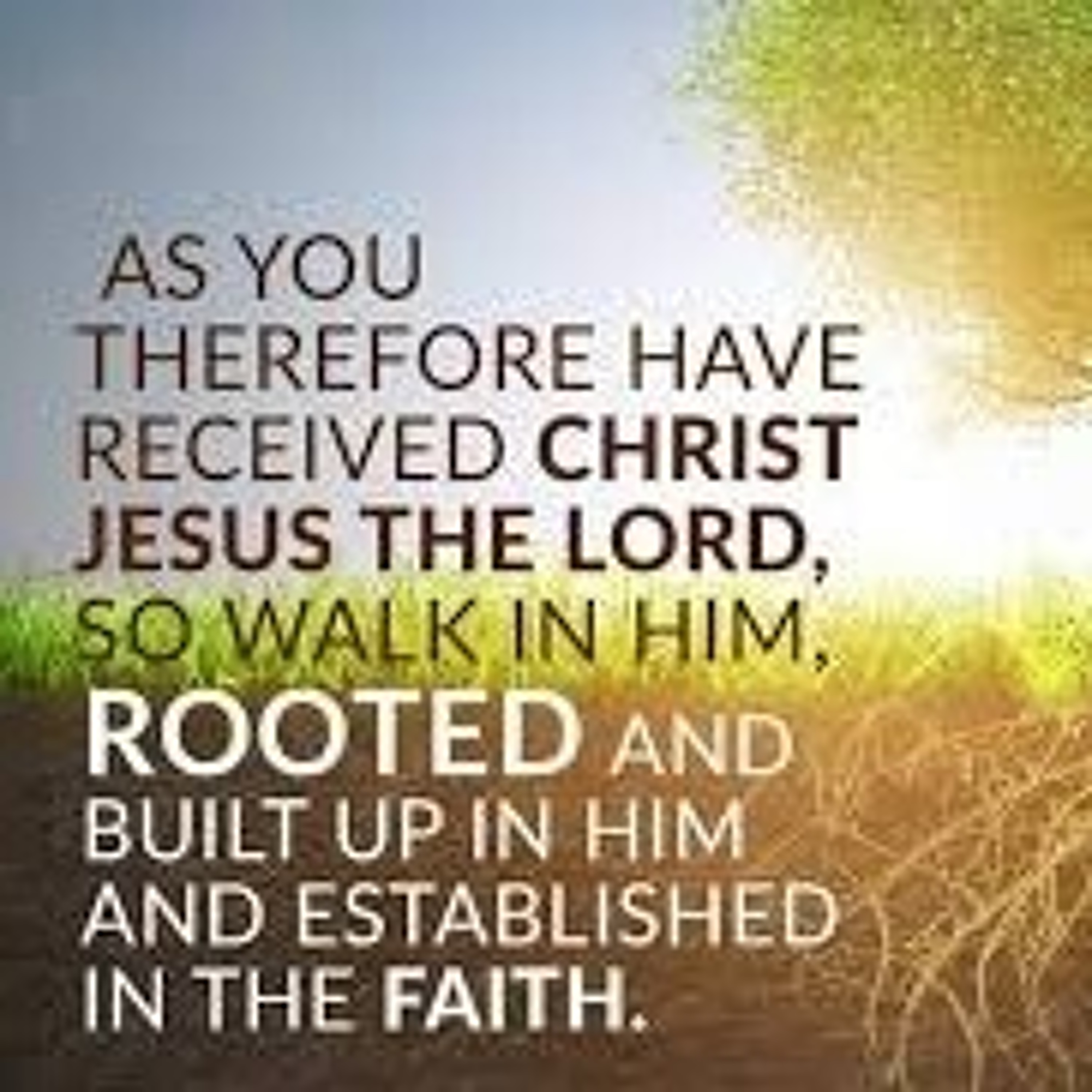 Rooted In Faith - Message from Colossians 2:6 (made with Spreaker) episode artwork