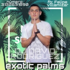 EL LOBO DE LA GUARACHA 🐺 "EXOTIC PALMS" LIVE SET ( DJ DAVID RODRIGUEZ )