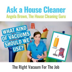 What Kind of Vacuums Should We Use - Should maids use their own vacuums?