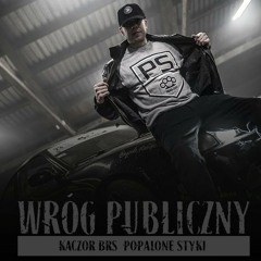Kaczor BRS- Literatka REMIX