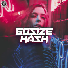 DZR3373 : Gosize - Hash (Original Mix)