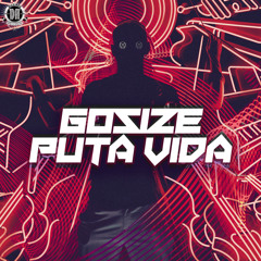 DZR3375 : Gosize - Puta Vida (Original Mix)