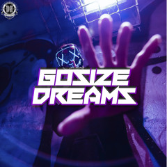 DZR3377 : Gosize - Dreams (Original Mix)
