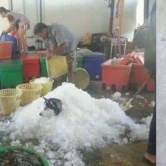 อยากมองเธอในแง่ร้าย   (ร้องเล่นๆว่ะ ดนตรีby นายเต้ยสายลอย)​