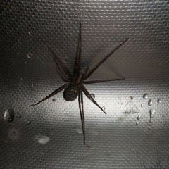 Massive attack type beat