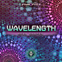 Stereo Plug vs SwiTcHcaChe - Days of Present Future (Wavelength Remix)