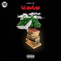 Lowkey turt-woedae (prod)deemarc