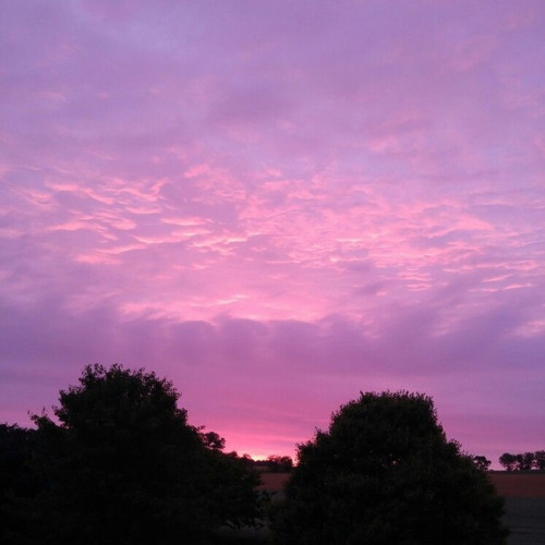 Yesterday Everyday Always | Tatiana Manaois