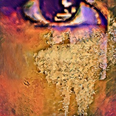 Opus 41