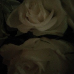 Barzini & Bastu - Fish