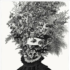 Barzini & Bastu - The Set Up