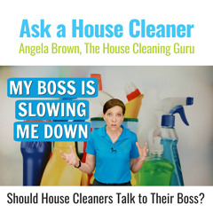 My Boss is Slowing Me Down - Should We Talk? - House Cleaning Experiencing Problems at Work