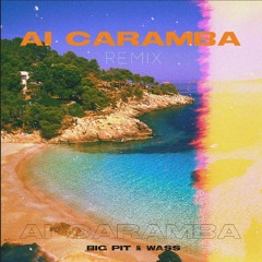 WASS X BIG PITT - AY CARAMBA