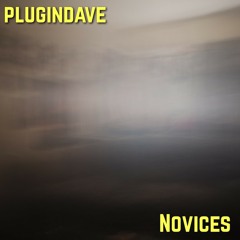 Plugindave - Novices