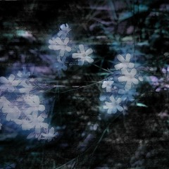 uuree zasah.128-1-1