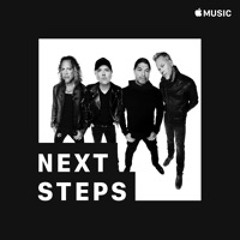 Metallica: Next Steps