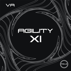 AGILE 110 - Various Artists - Agility XI