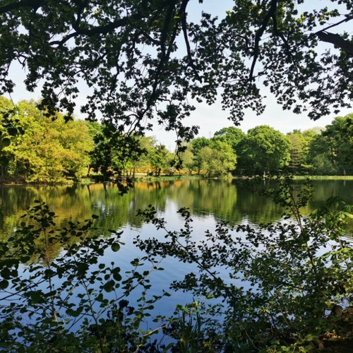 Shaykh Abu Muhammad Saleh Islamic University Of Medina Masjid At Tarbiyah Reminders On Telegram Ramadhan In Covid 19 By Submit 2 Islam On Soundcloud Hear The World S Sounds