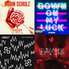 Rob - Poolside House