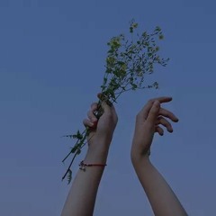 星星失眠 (Ngôi sao mất ngủ) _ 哈利 Halleeee