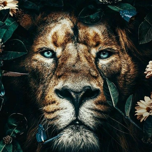 Roots Remix 🔰♪🆙