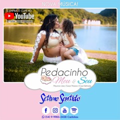 Sétimo Sentido - Pedacinho Meu e Seu