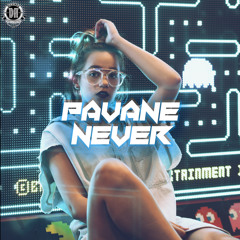 DZR3380 : Pavane - Never (Original Mix)