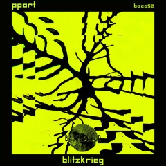 PPORT - Master