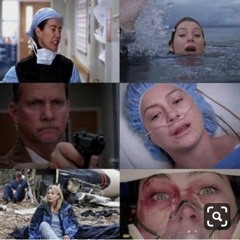 Chasing Grey's Anatomy
