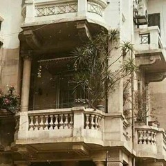 روبابيكا علاقات || نوح سيد.