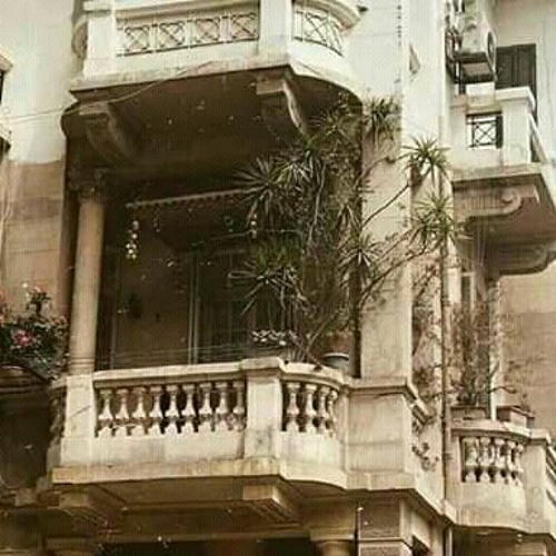 روبابيكا علاقات || نوح سيد.
