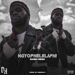 Dash Hesh -Ngyophelelaphi