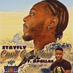 StayFly - Can't Go Now Ft. Apollos
