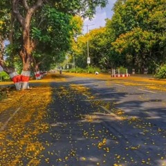 امجد باقيرا حبيبي تعال نتلم 🥰 Sm3ha.Com.mp3